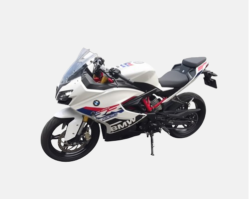 G310 RR