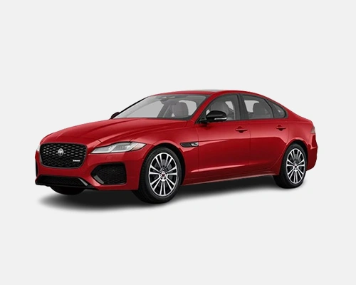 Jaguar Jaguar